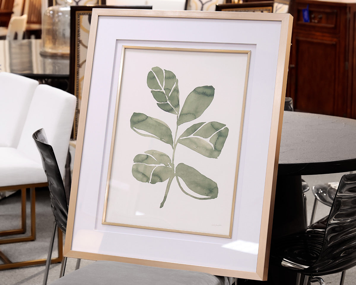 Fiddle Head Leaf Framed Print III
