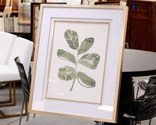 Fiddle Head Leaf Framed Print III