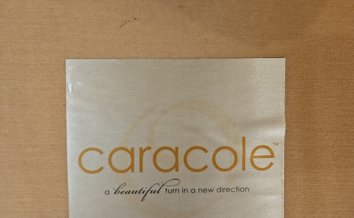 Caracole Champagne Chaise