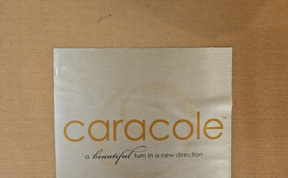 Caracole Champagne Chaise