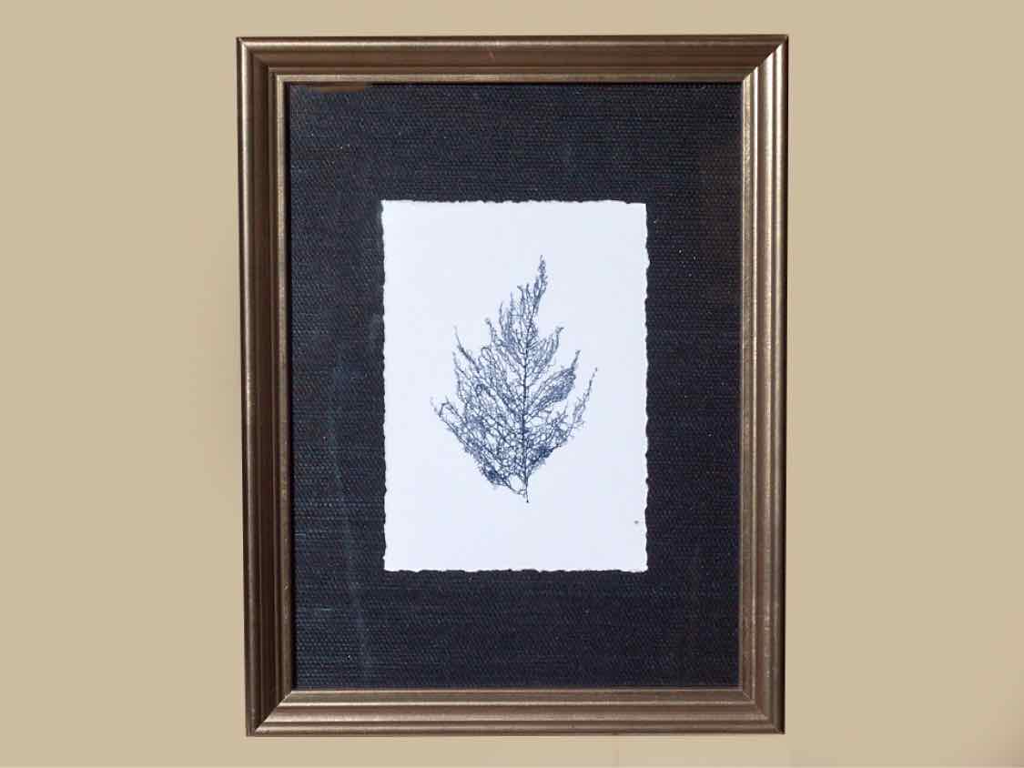 Coral Art Print On Grasscloth Driftwood Finish Frame IV