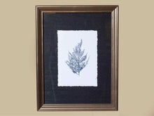 Coral Art Print On Grasscloth Driftwood Finish Frame IV