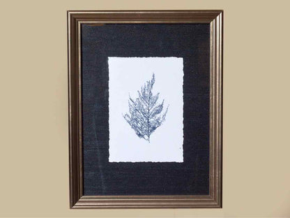 Coral Art Print On Grasscloth Driftwood Finish Frame IV