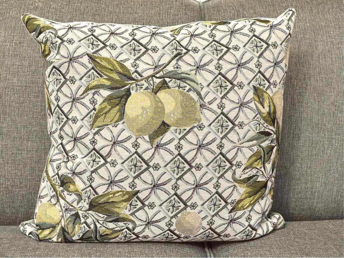 Pair Upholstered Lemon Accent Velvet Backing Accent Pillows