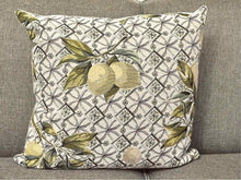 Pair Upholstered Lemon Accent Velvet Backing Accent Pillows