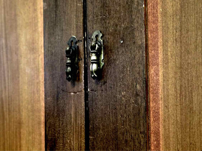 Cherry 2 Door Storage Piece with Shiplap Wood  Back
