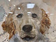 'Dog Days B' Framed Wall Decor