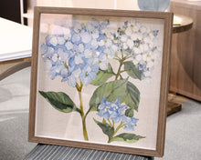 'Hydrangea Study' 2/2