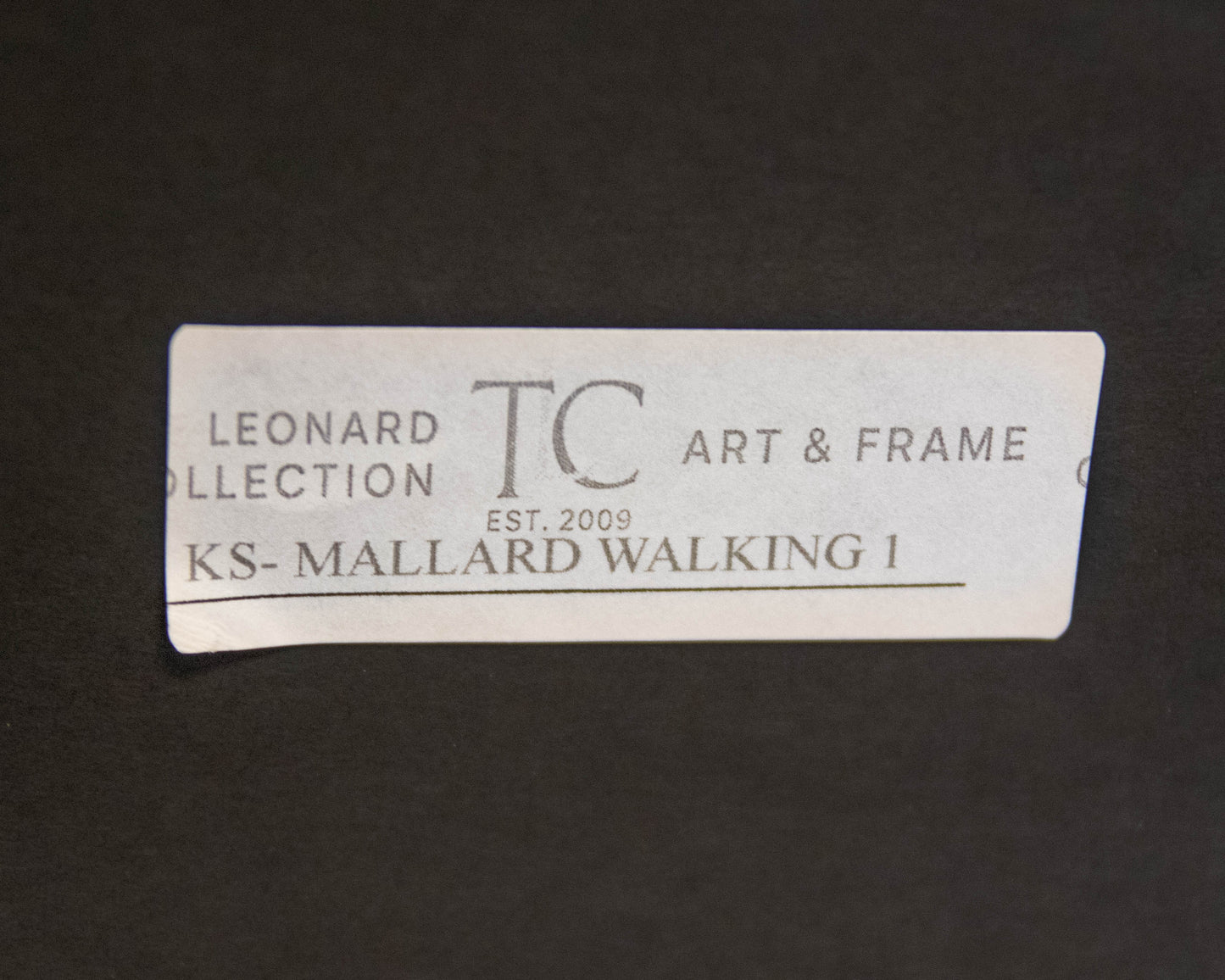 'Mallard Walking 1' in Silver Frame
