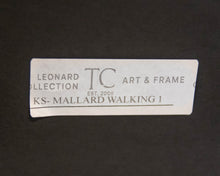 'Mallard Walking 1' in Silver Frame