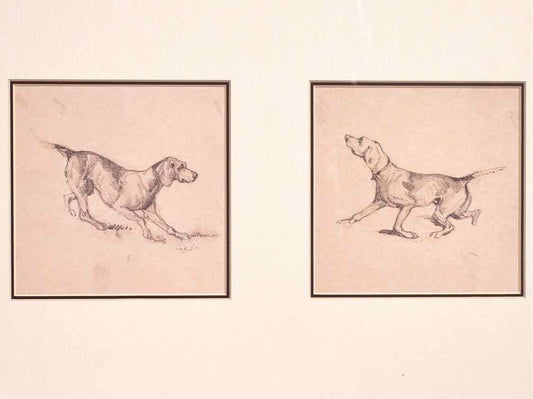 'French Pointer Series' Framed Print