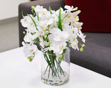 White Orchid  in Glass Vase
