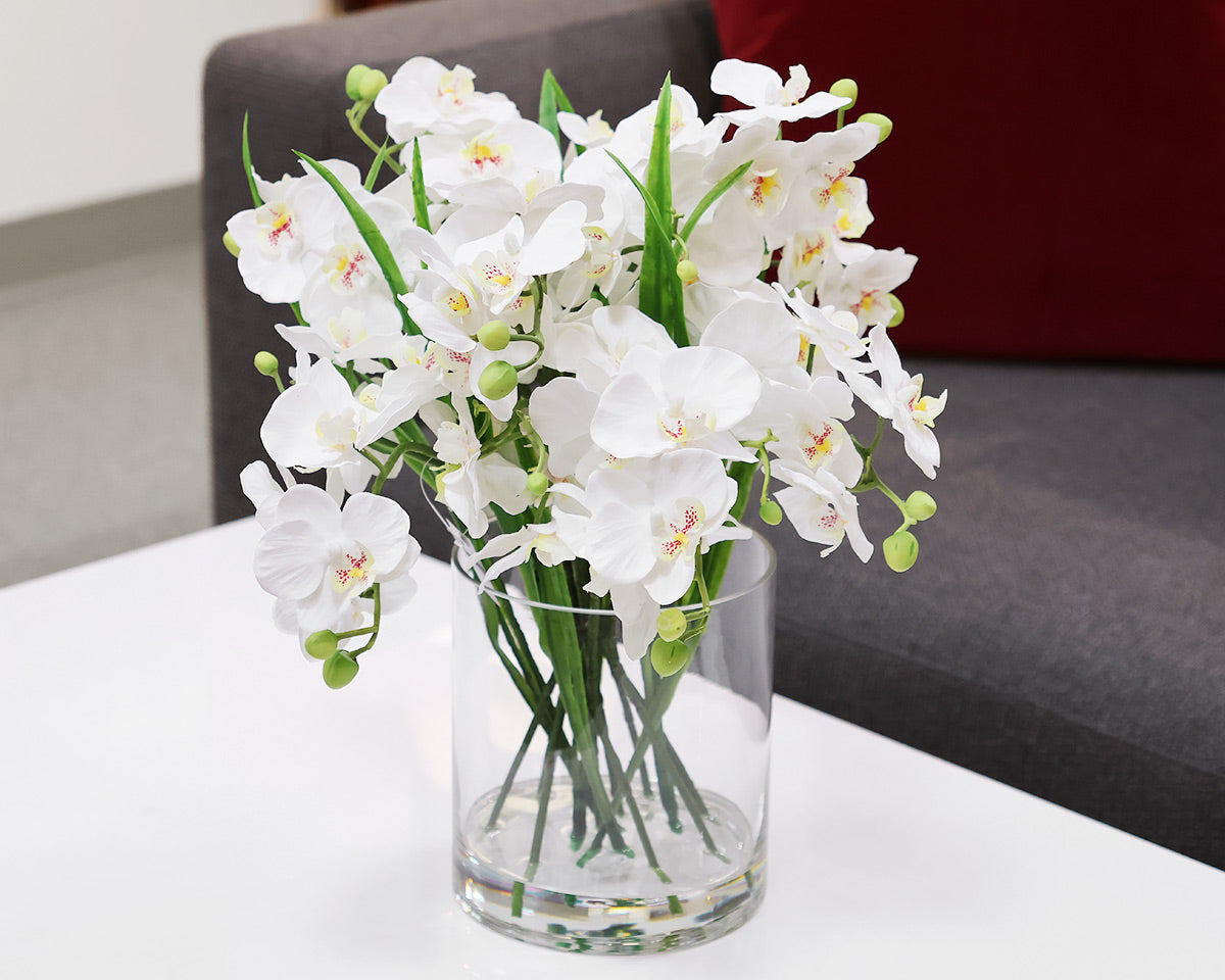 White Orchid  in Glass Vase