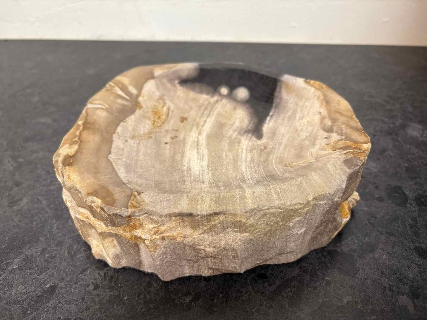Petrified Wood Decorative Tray