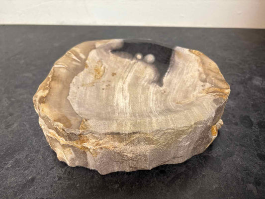 Petrified Wood Decorative Tray
