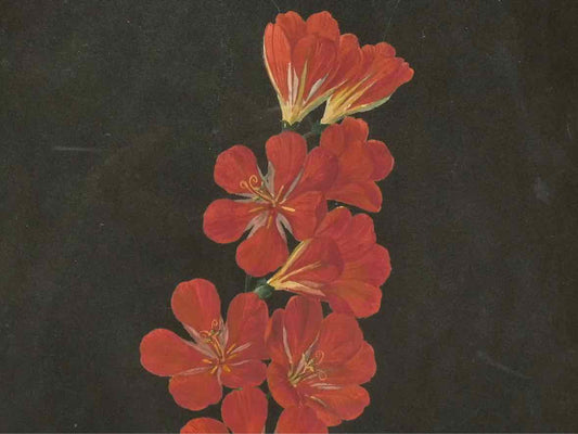 Framed Giclee 'Grapefruit Paloma Pistachio'