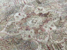 Loloi Area Rugs