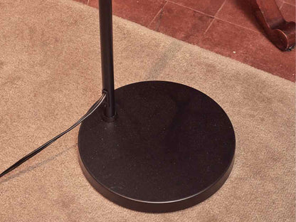 Floor Lamp in Black Finish and Shade