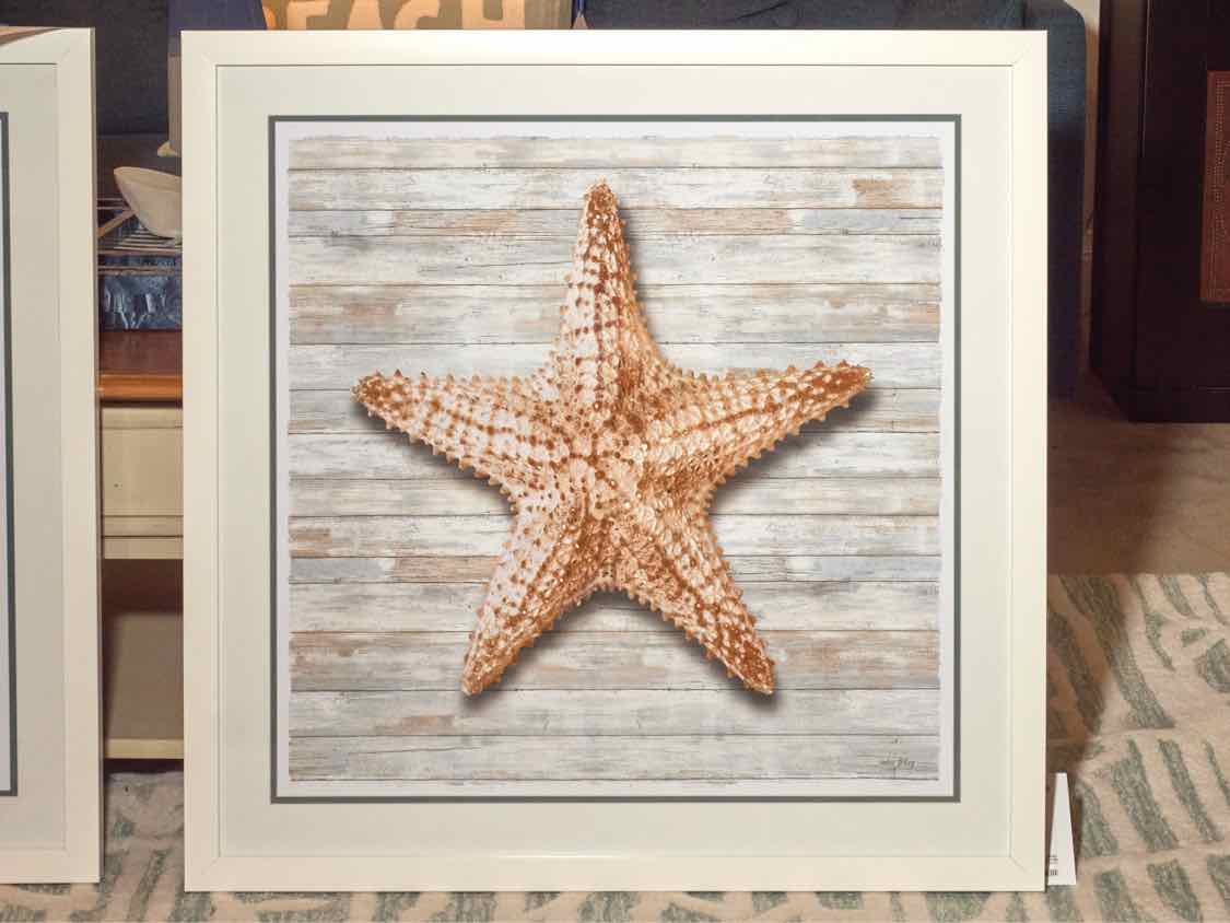 'Seahells I'  Print White Framed  Under Glass