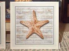 'Seahells I'  Print White Framed  Under Glass