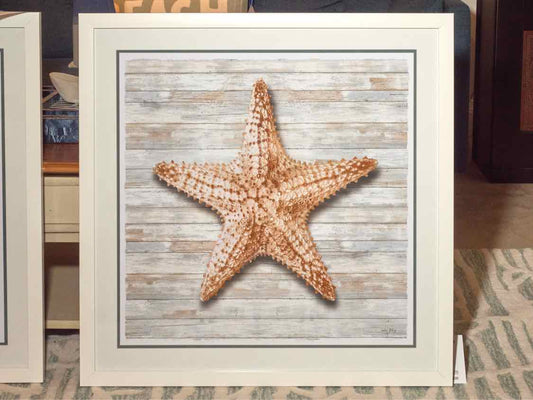 'Seahells I'  Print White Framed  Under Glass
