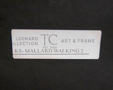 'Mallard Walking 2' in Silver Frame