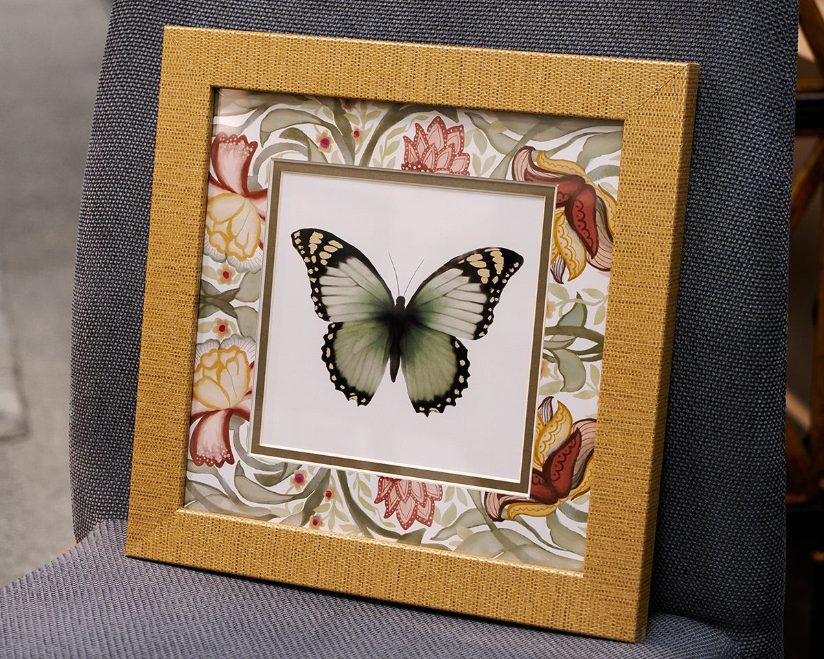 Baroque Butterfly 1/4