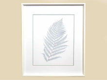 Framed Giclee: "Stillwater Ferns I"