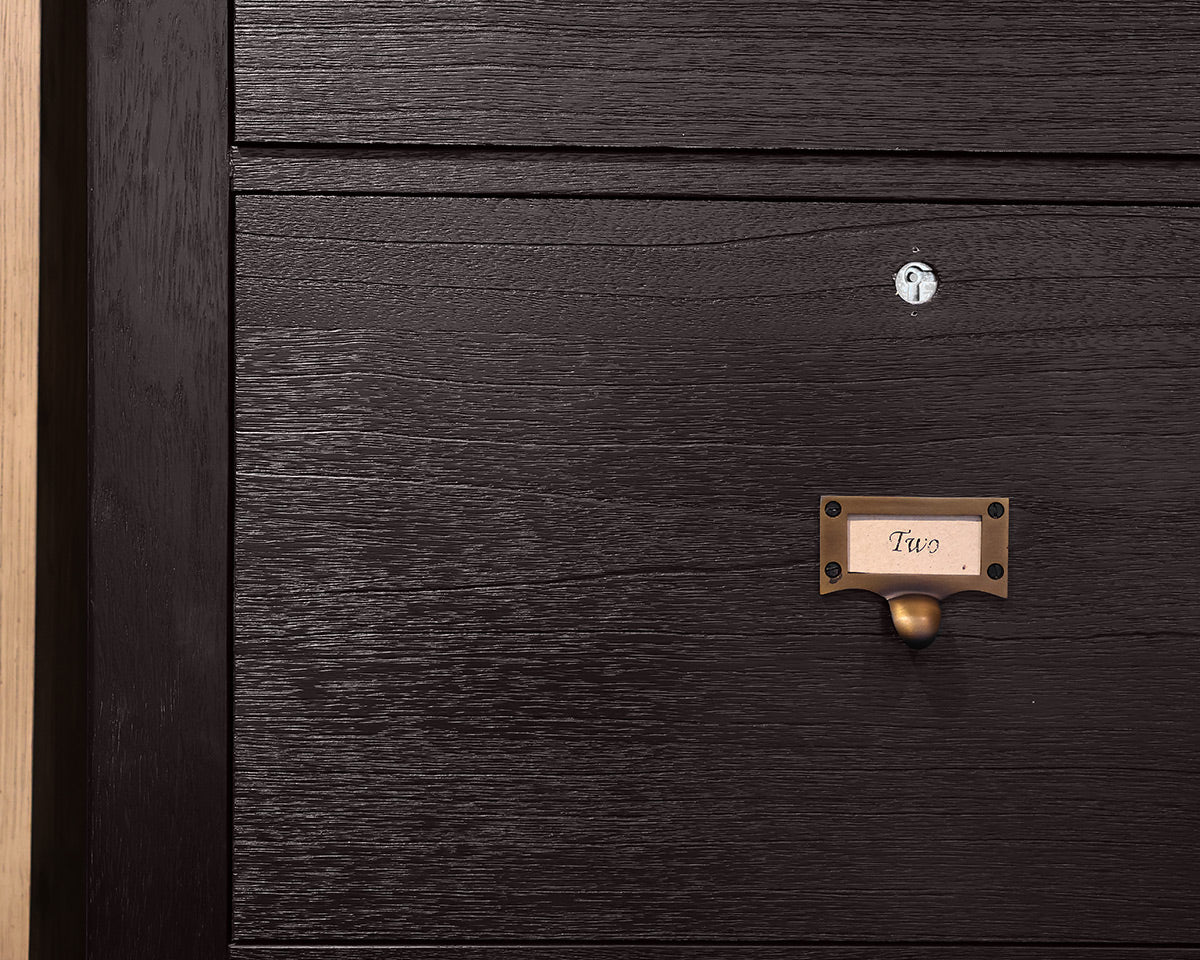 Arhaus Telegrah 4-Drawer Tall File Cabinet in Ebony Finish with Brass Hardware