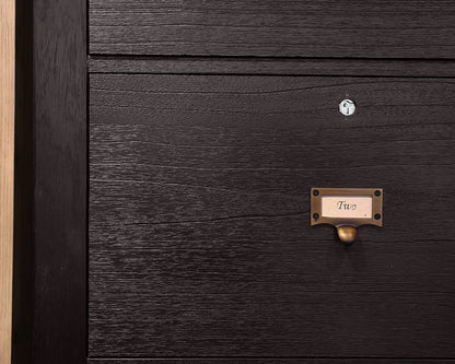 Arhaus Telegrah 4-Drawer Tall File Cabinet in Ebony Finish with Brass Hardware