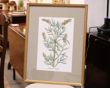 "Botanical Plants IV" Premium Matted Print in Distressed Gold Frame