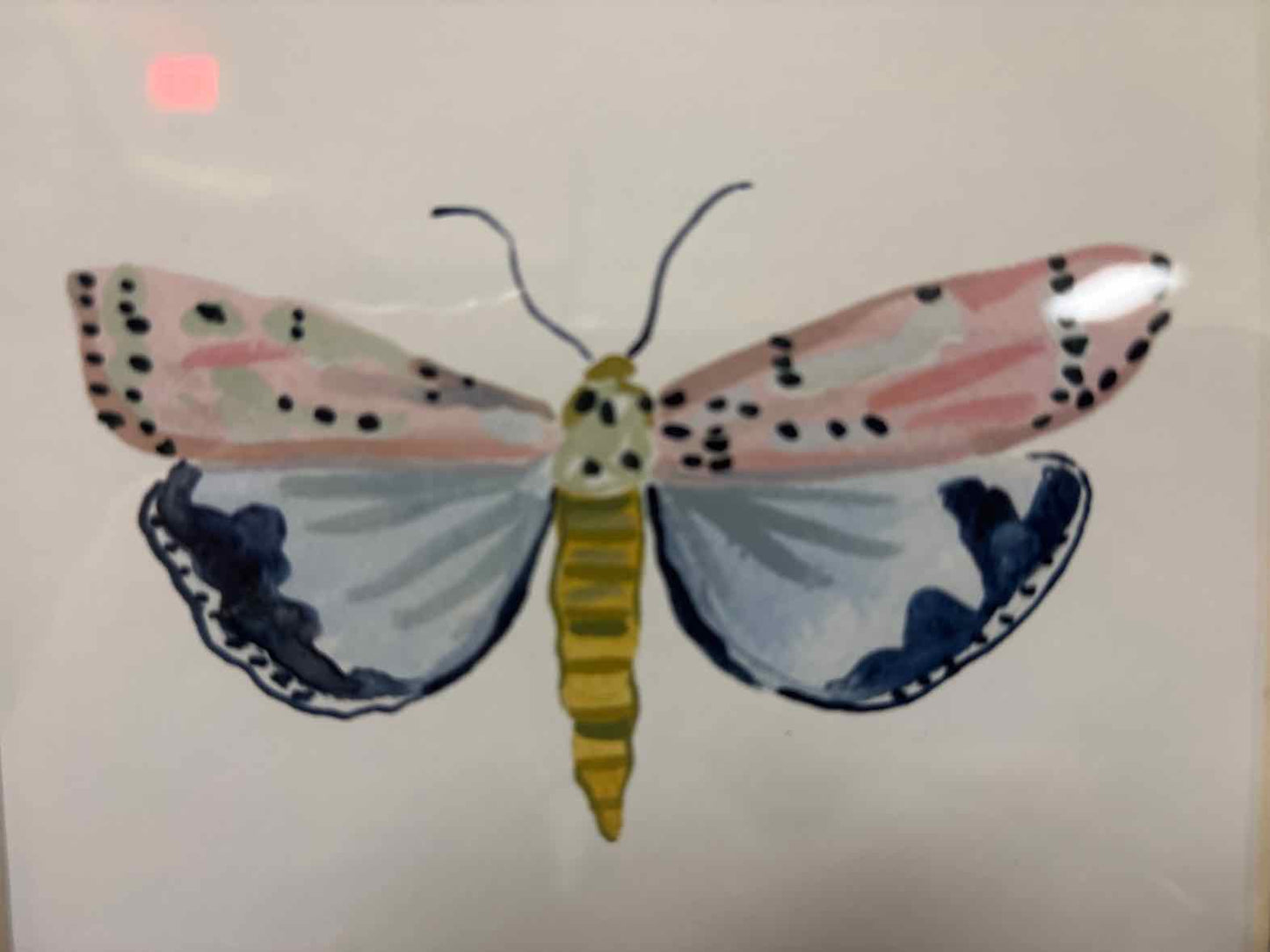 'Pastel Moths I S/3 B' Wall Decor