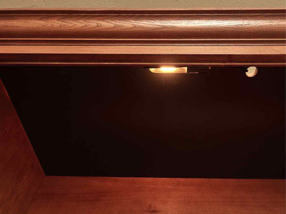 Mission Style Stained Oak 2 Glass Door 4 Panel Door Media Furniture