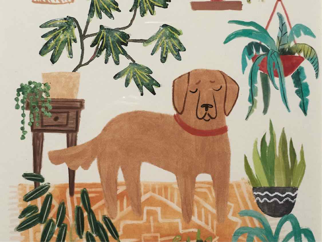 'Urban Jungle Dogs III' Print  Double Framed