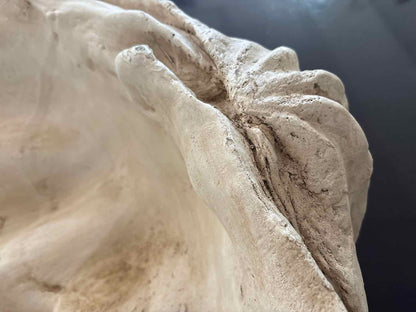 Giant Resin Clam Shell