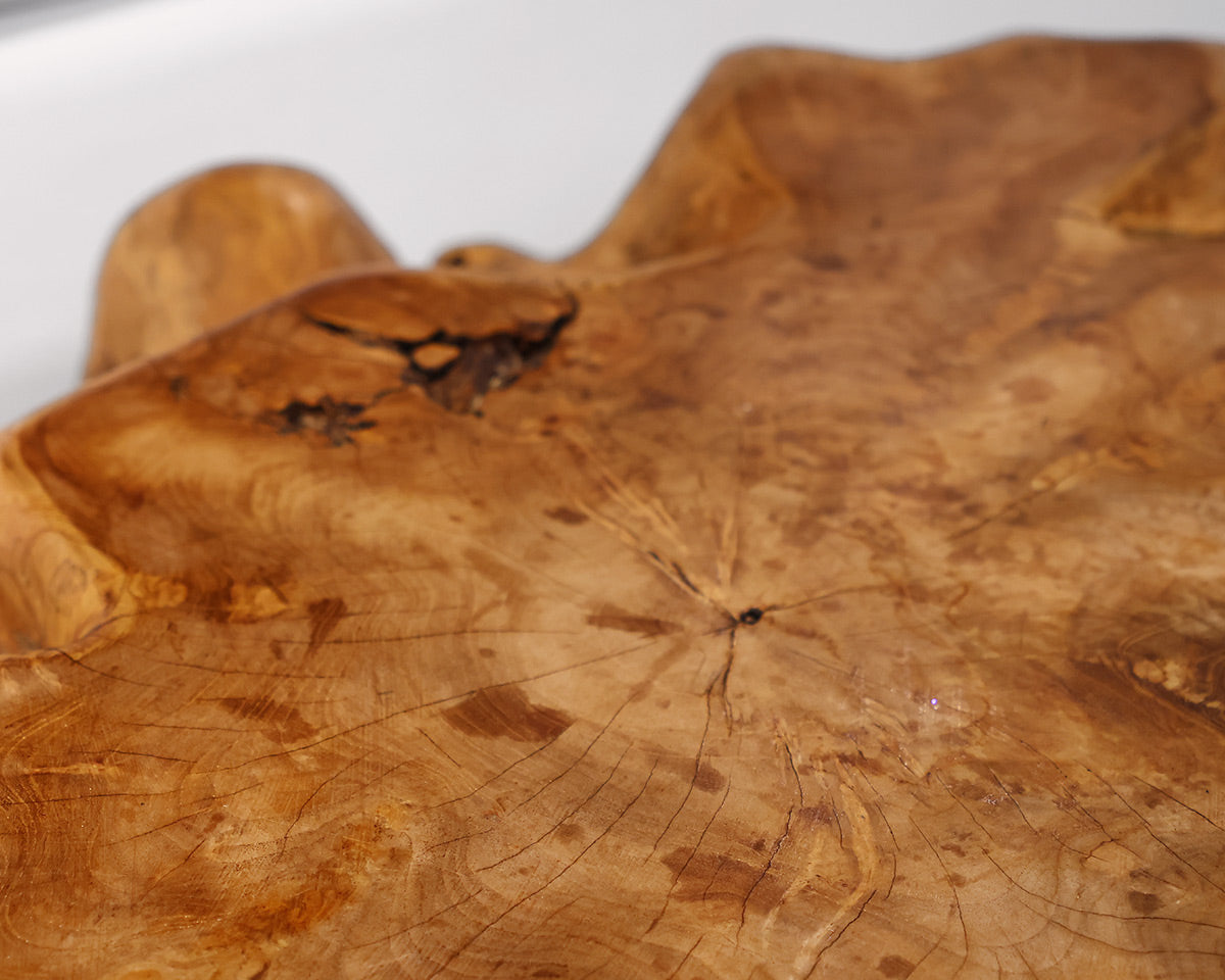 Teak Root Coffee Table
