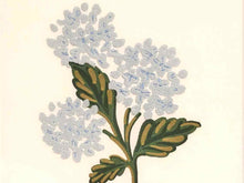Embroidered Hydrangea on White in Light Wood Frame
