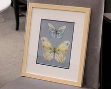 Butterfly Beauties 2/2