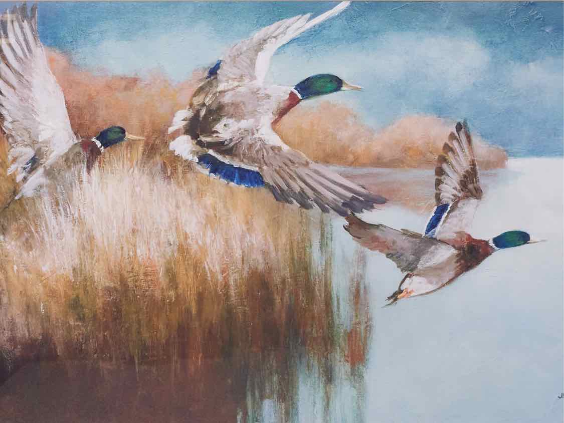 Framed Giclee 'Wild Wings'