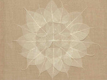 Pressed Leaves Framed Wall Decor