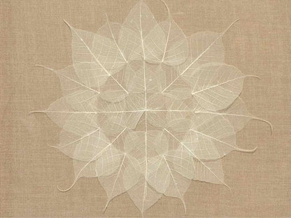 Pressed Leaves Framed Wall Decor
