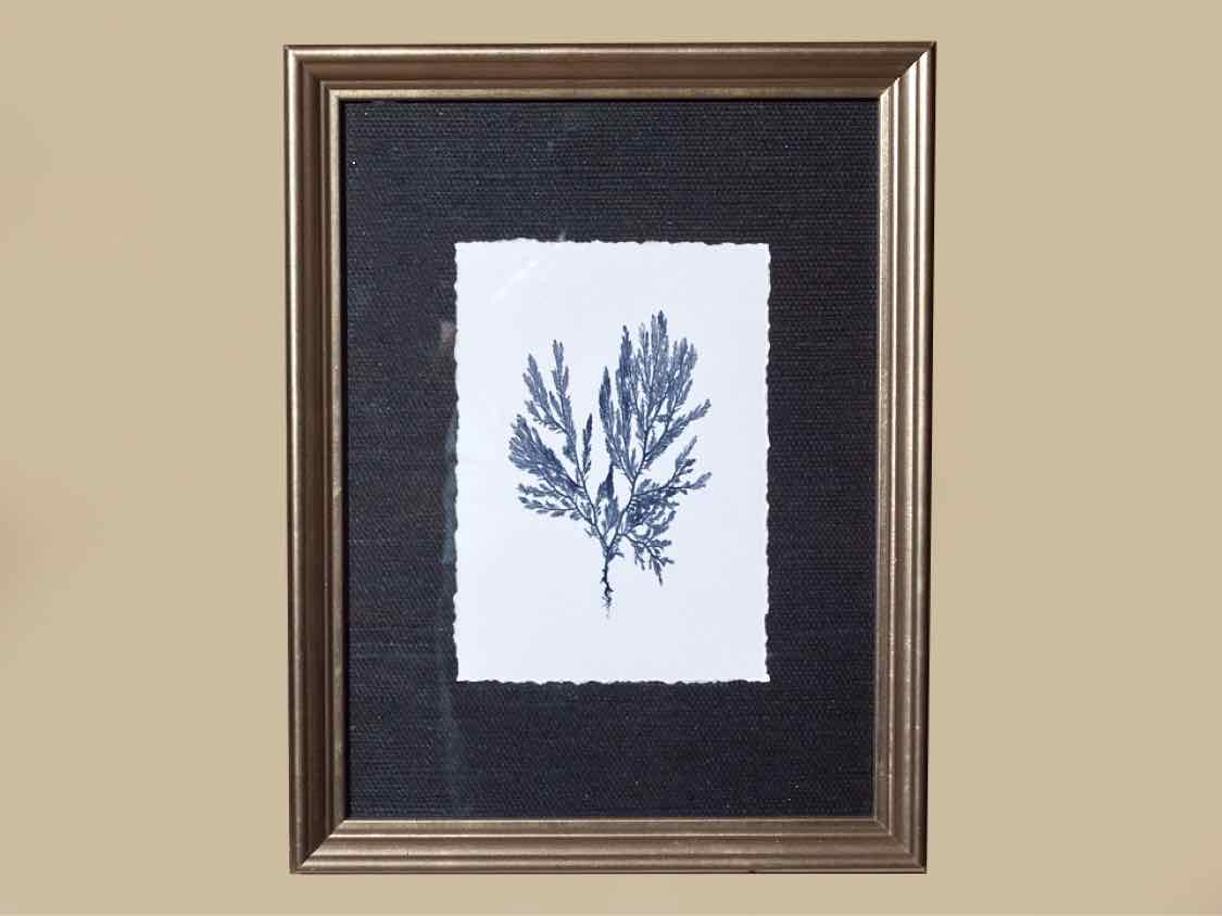 Coral Art Print On Grasscloth Driftwwod Finish  Frame I