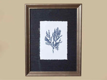 Coral Art Print On Grasscloth Driftwwod Finish  Frame I