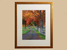Framed Color Photograph By Bob Cashin