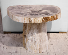 Petrified Wood Accent Table