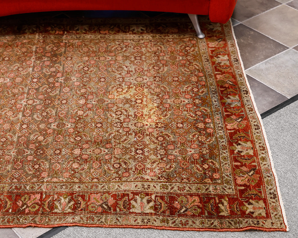 Steven King Traditional Rug