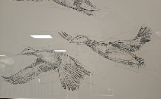 'Mallard Duck Sketch I' Flock of Ducks Wall Decor in Espresso Frame