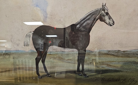 'Equestrian II A' Horse Illustration with Landscape