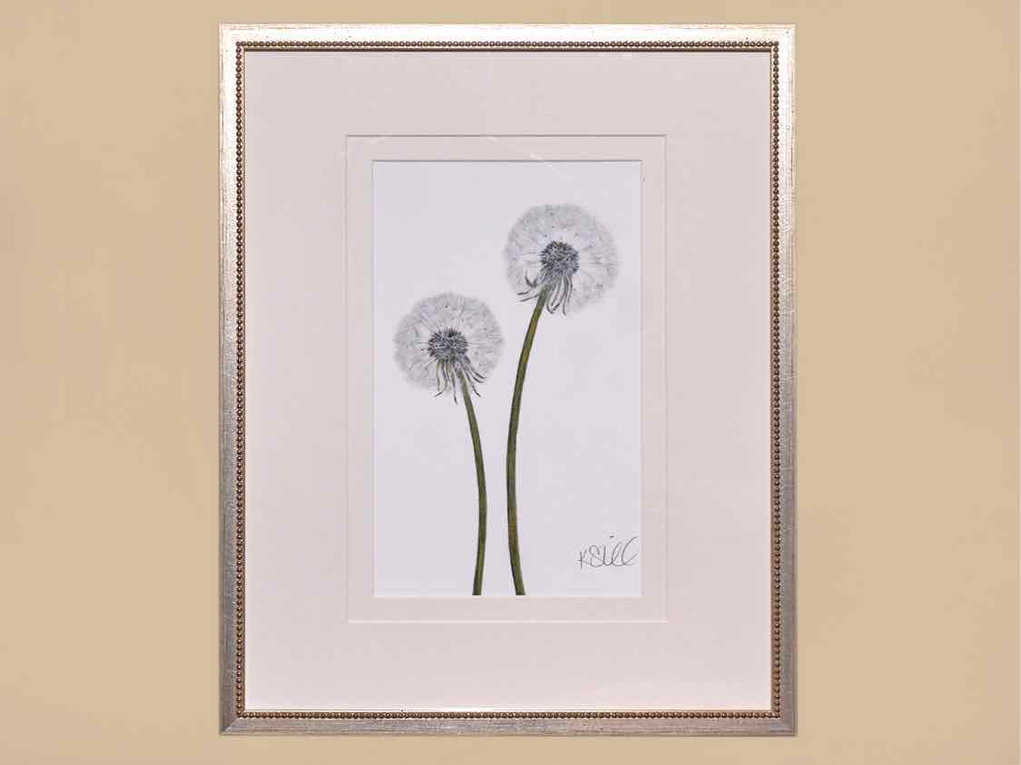 "Dandelion 2" Matted Print in Silver Beaded Frame