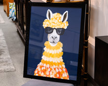 Miami Alpaca 2/2
